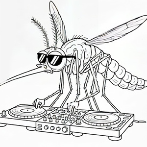 Mosquito