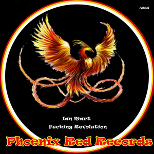 ****ing Revolution (Original Mix)