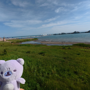 年少爱终成遗憾