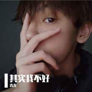 其实我不好