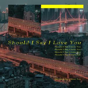 Should I Say I Love You