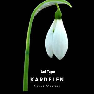 Kardelen (Melankolik Beat)