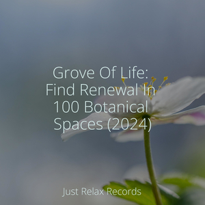 Enigmatic Cadence Cascade