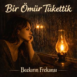 Bir Ömür Tükettik
