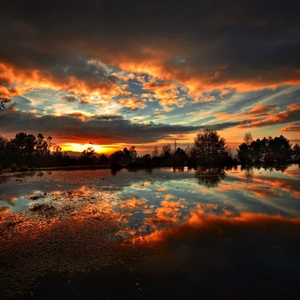 Shine On (Sacred Remix)