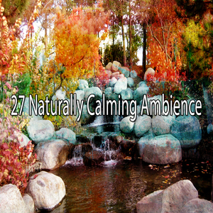 Take A Walk In Nature