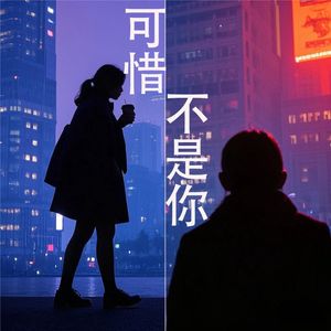 可惜不是你