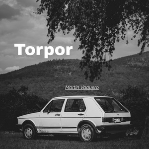 Torpor