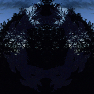 Cosmos Into Infinity