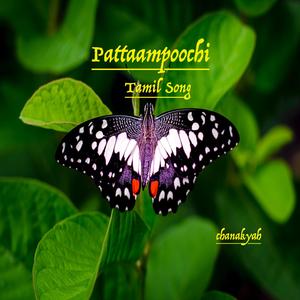 Pattaampoochi Tamil Song