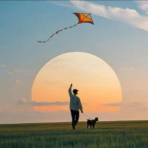 只可惜没能成为你的白马