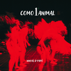 Como1animal