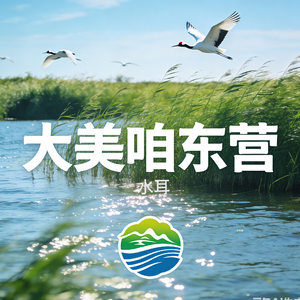 大美咱东营（舒情版）