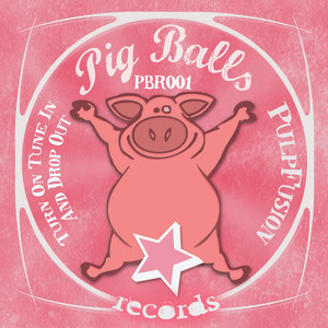 Turn On Tune In And Drop Out (DJ Stefunk Mix)