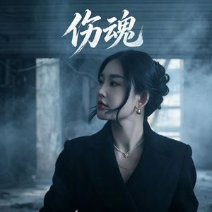 伤魂