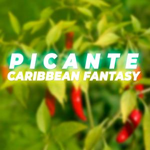 Picante