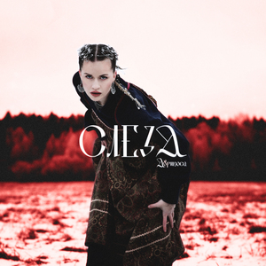 Слеза (Sped Up)