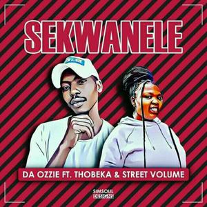 Sekwanele (feat. Thobeka & Street Volume) (Original) (Original)