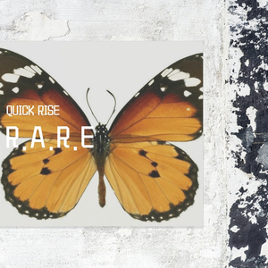 樱花落（affecting ）