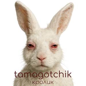 Кролик