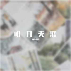 明月天涯