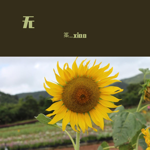 无【狼兔】to鱼粉