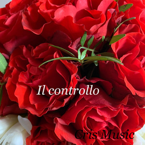 Il controllo