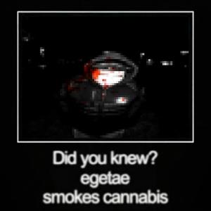 CANNABIS