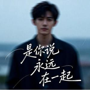 是你说永远在一起  (Remix)