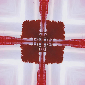 slona (Dodoscope Remix)