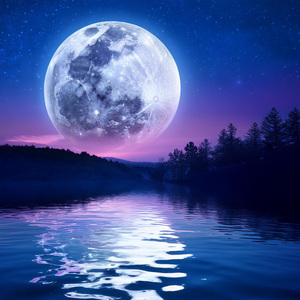 Melodías Nocturnas Reconfortantes