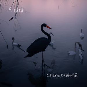 在乌鸦的世界天鹅也有罪