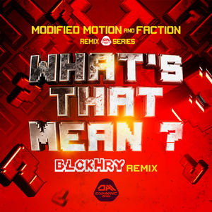 What's That Mean (BlckHry Remix)