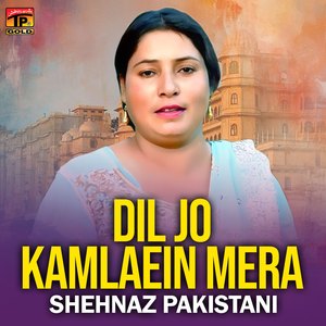 Main Shadi Na Karvendi
