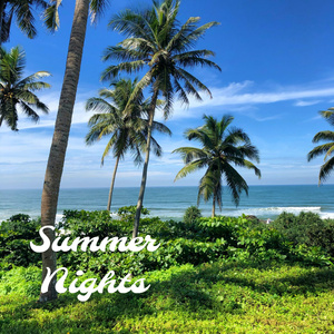 Summer Nights (Remix)