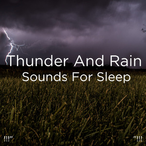 호우 잠