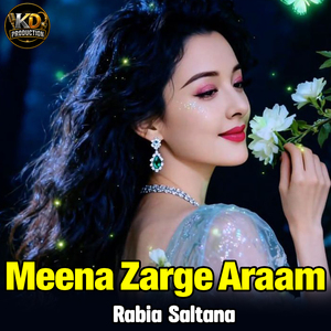 Meena Zarge Araam