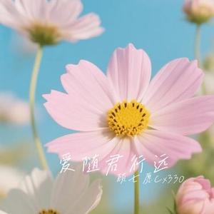 爱随君行远