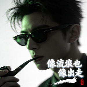 像流浪也像出走