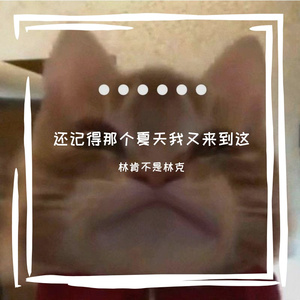 还记得那个夏天我又来到这
