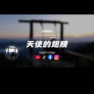 天使的翅膀/大頭針
