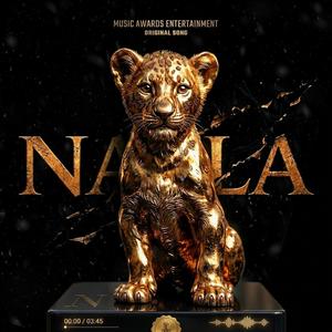NALA (AFROPOP REMIX )