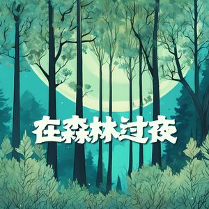 在森林过夜