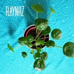 kapi kiše padaju u nebo