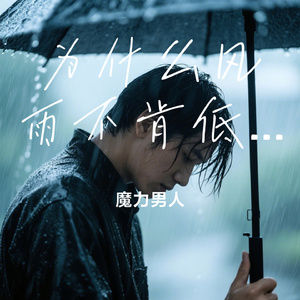 为什么风雨不肯低头