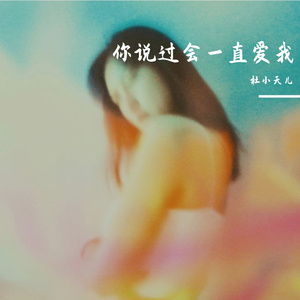 你说过会一直爱我