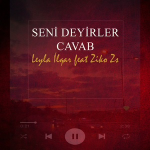 Seni Deyirler Cavab