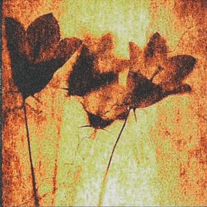 Omar (feat. Boosty425)