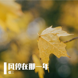 风停在那一年