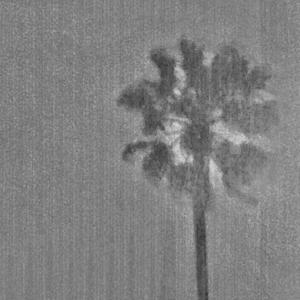 Waiting for my flight out of LA.